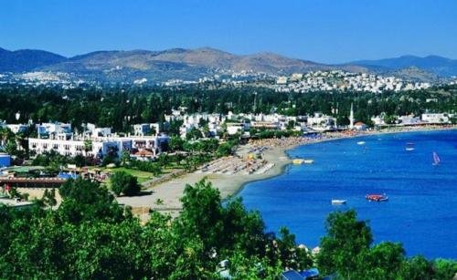 VIP-Transfers Bitez-Service