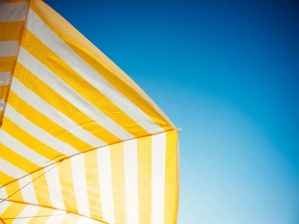 Milas Havalimanı Bodrum Arası Ulaşım Hizmetleri