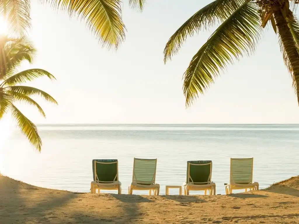 Muğla Havalimanı Özel Transfer Hizmetleri